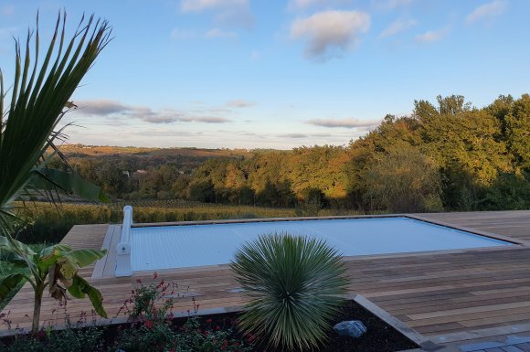 Terrasse en bois exotique avec jardinières incorporées 