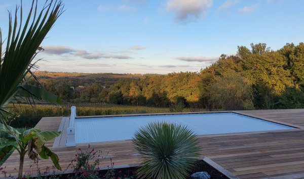 Terrasse en bois exotique avec jardinières incorporées 