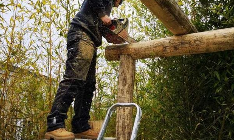 Pergola en bois - Langon - Projet Bois Concept